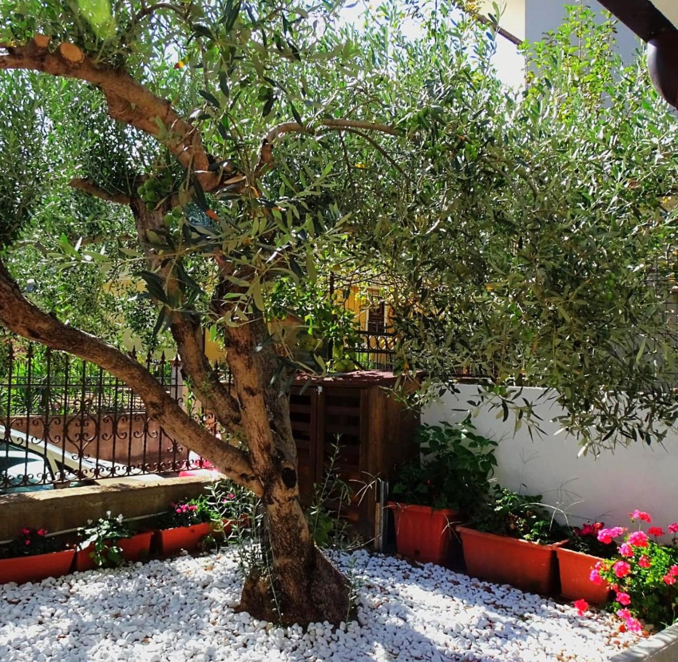 Le Sorgenti Guest House Ilbono Экстерьер фото