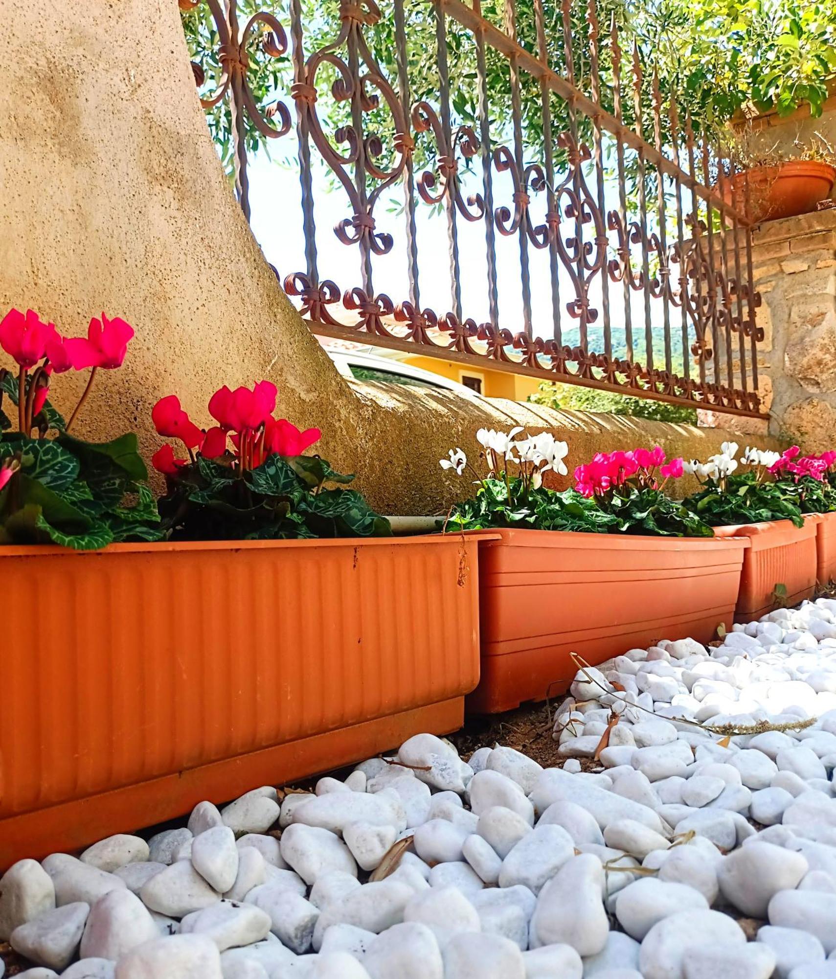 Le Sorgenti Guest House Ilbono Экстерьер фото
